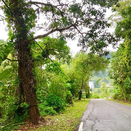 Selesa Resort Homestay Janda Baik Buitenkant foto