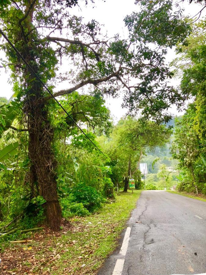 Selesa Resort Homestay Janda Baik Buitenkant foto
